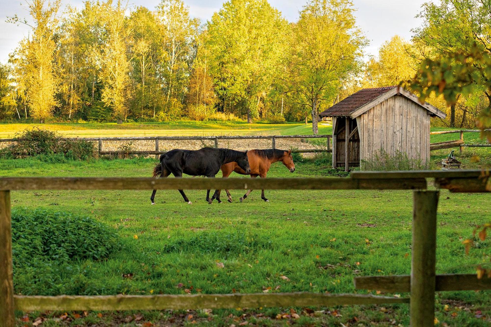 An Der Brunnader - Ihr Perfekter Rueckzugsort In Der Bayerischen Toskana 3*
